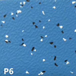 P6