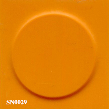 SN0029