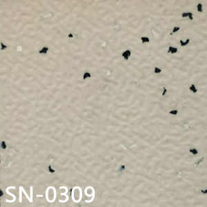 SN-0309