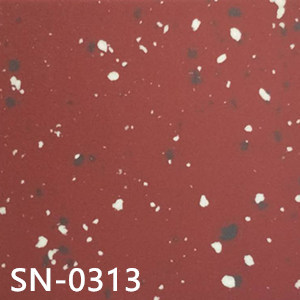 SN-0313