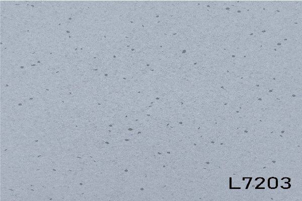 7203