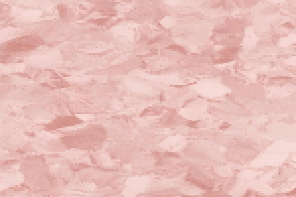 7036