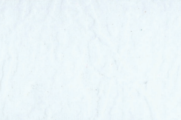 65801