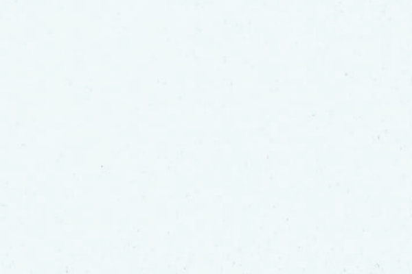 65833