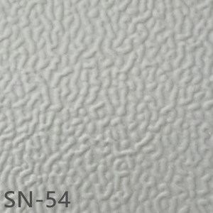 SN-54